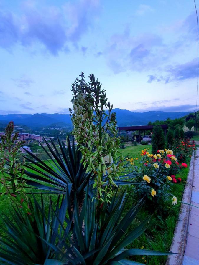 Guest House Ijevan'S Garden Exterior foto