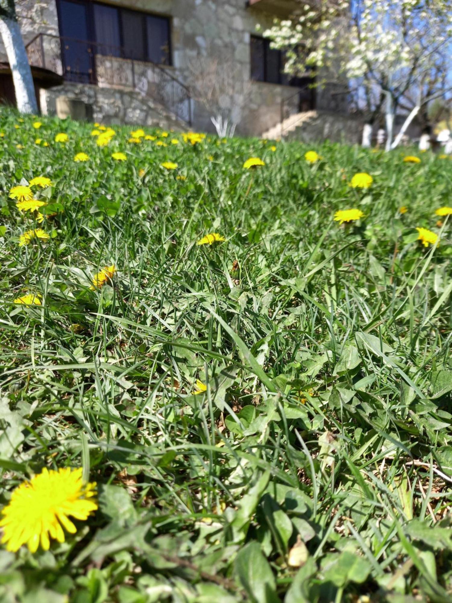 Guest House Ijevan'S Garden Exterior foto