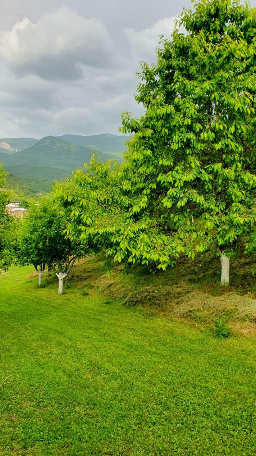 Guest House Ijevan'S Garden Exterior foto